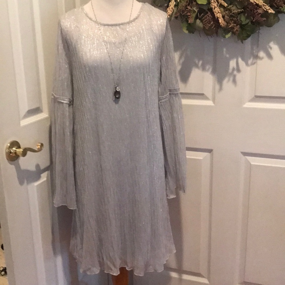Silver sparkly fully dress with dress length cami